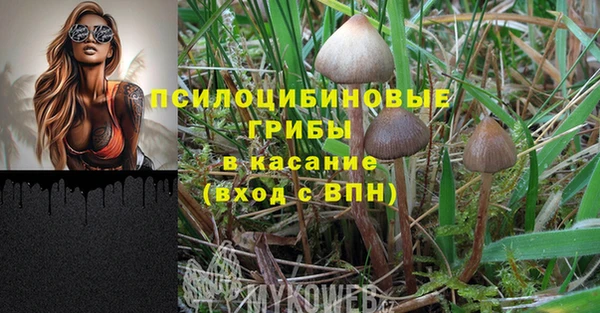 экстази Заволжск