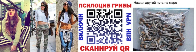 Купить  Могоча  Галлюциногенные грибы прущие грибы 