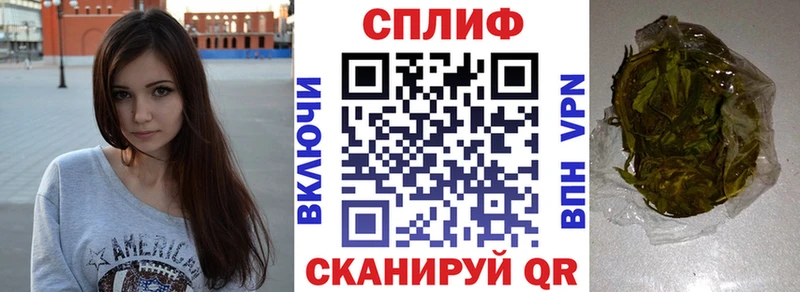 Купить закладки Могоча Шишки марихуана конопля